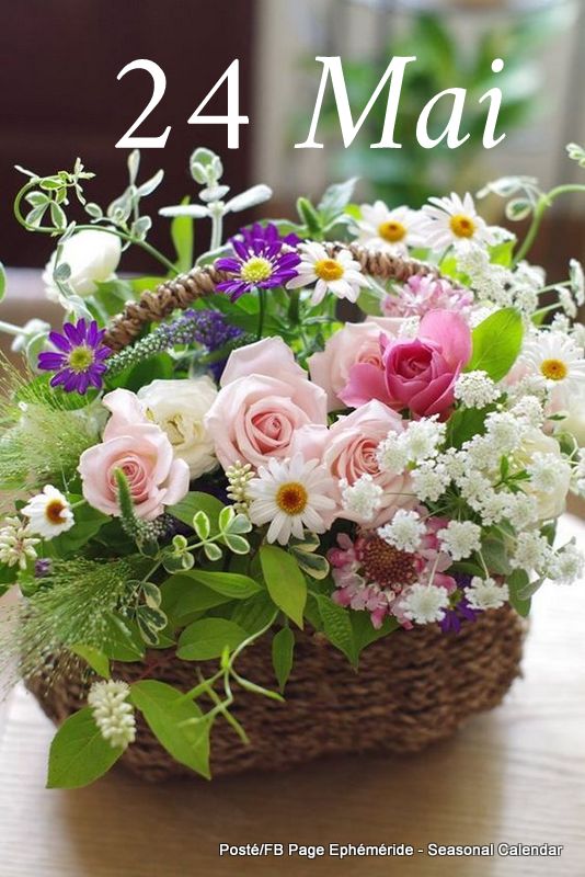 24.Mai