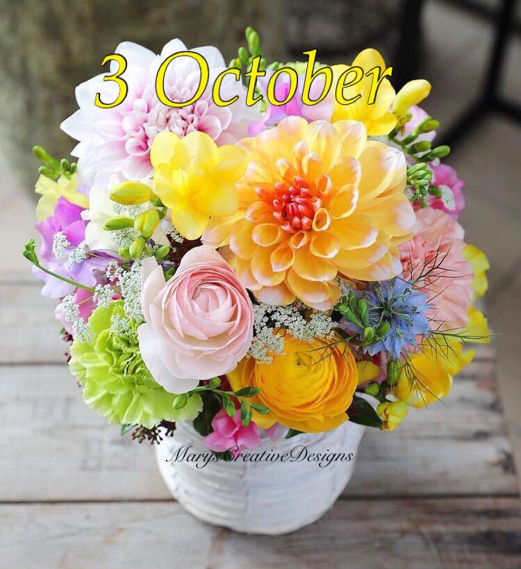 240050404_3017256328512164_4743392805373104706_n