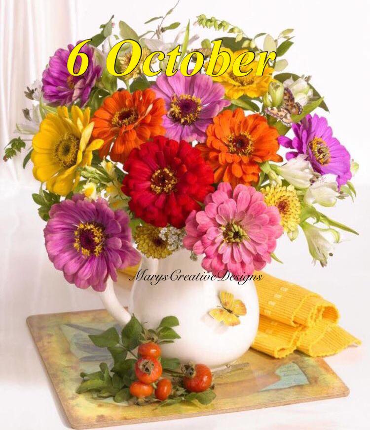 240328459_3019284728309324_7972909849944146955_n (1)