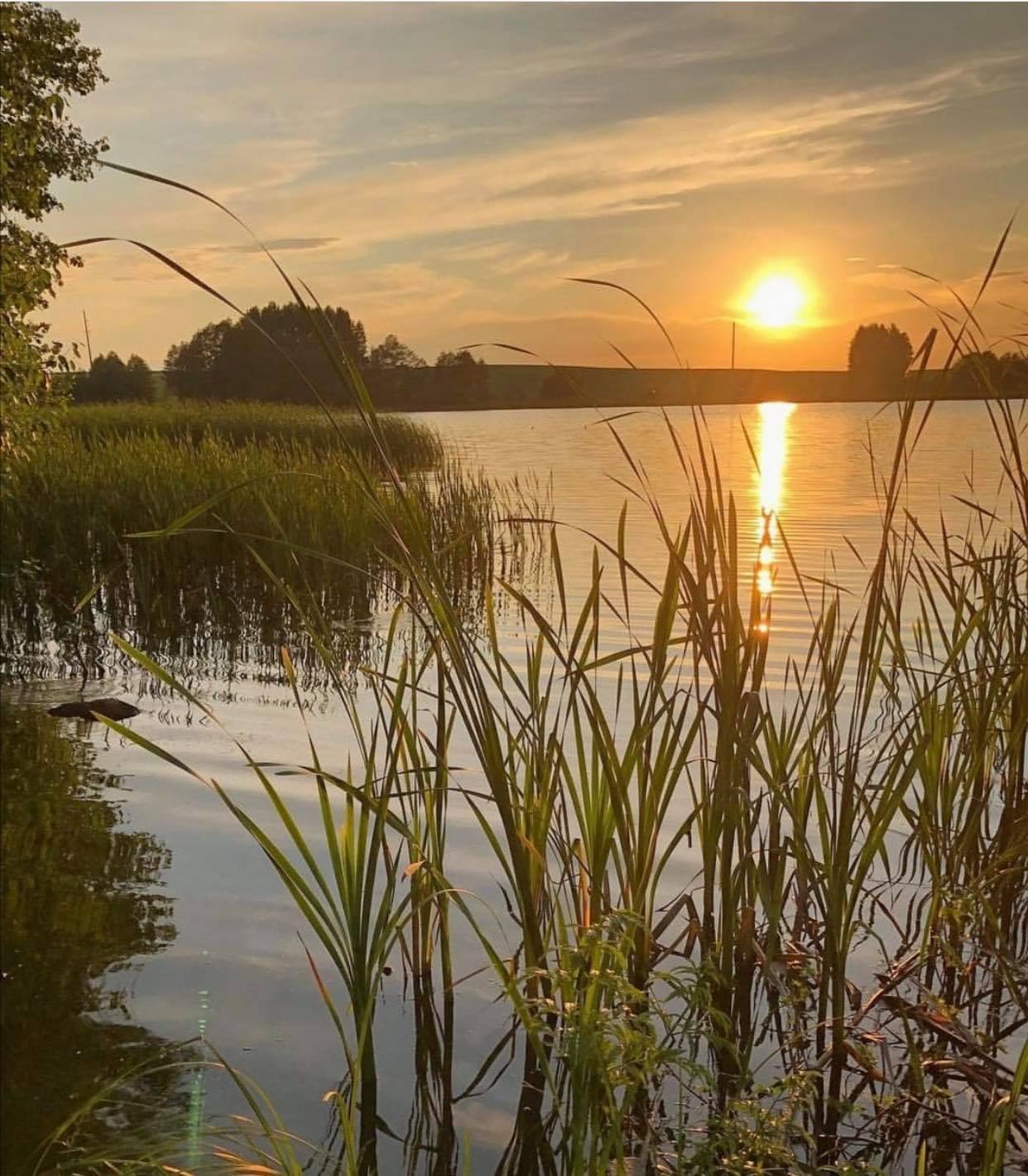 240336662_1511238972548492_715494062328924701_n