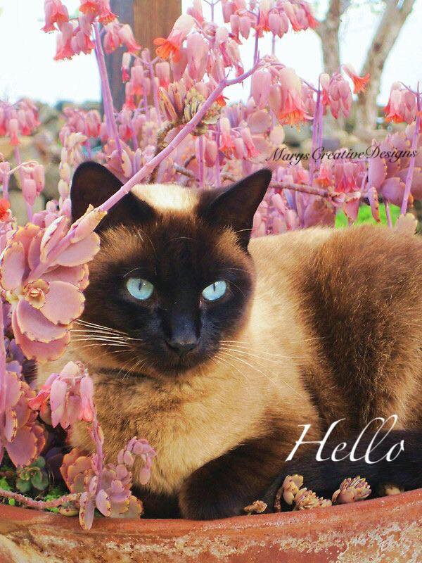 240449874_2991093057795158_4124833037796113823_n (1)