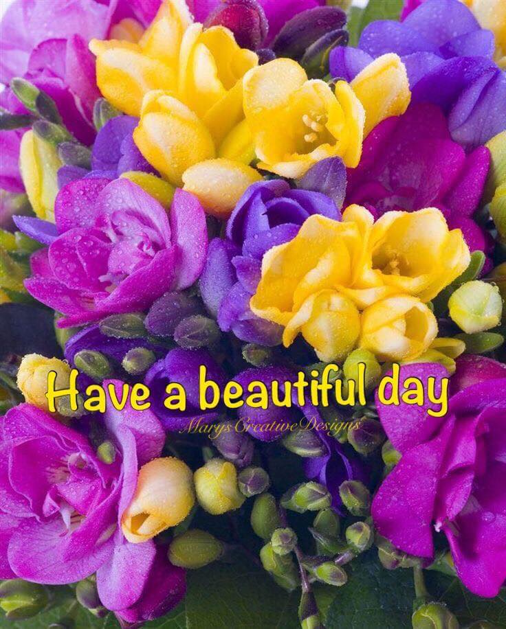 240463784_2989575524613578_389155722386429111_n (1)