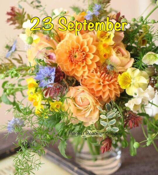 240594527_3009341309303666_7113165679140873689_n (3)