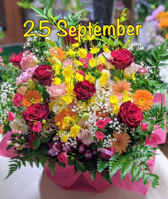 240601454_3011004385804025_3202832481128482826_n (2)