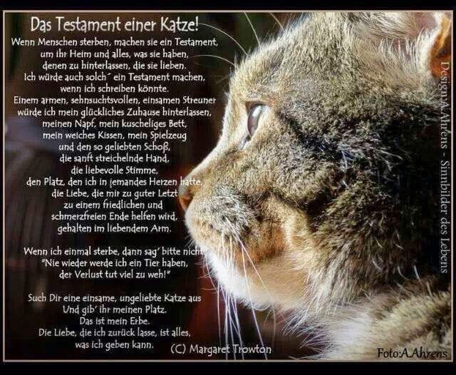 240742948_537570437504833_1057414183676711634_n (1)