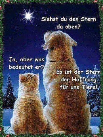 240803439_1262993087493173_7328454277332454922_n