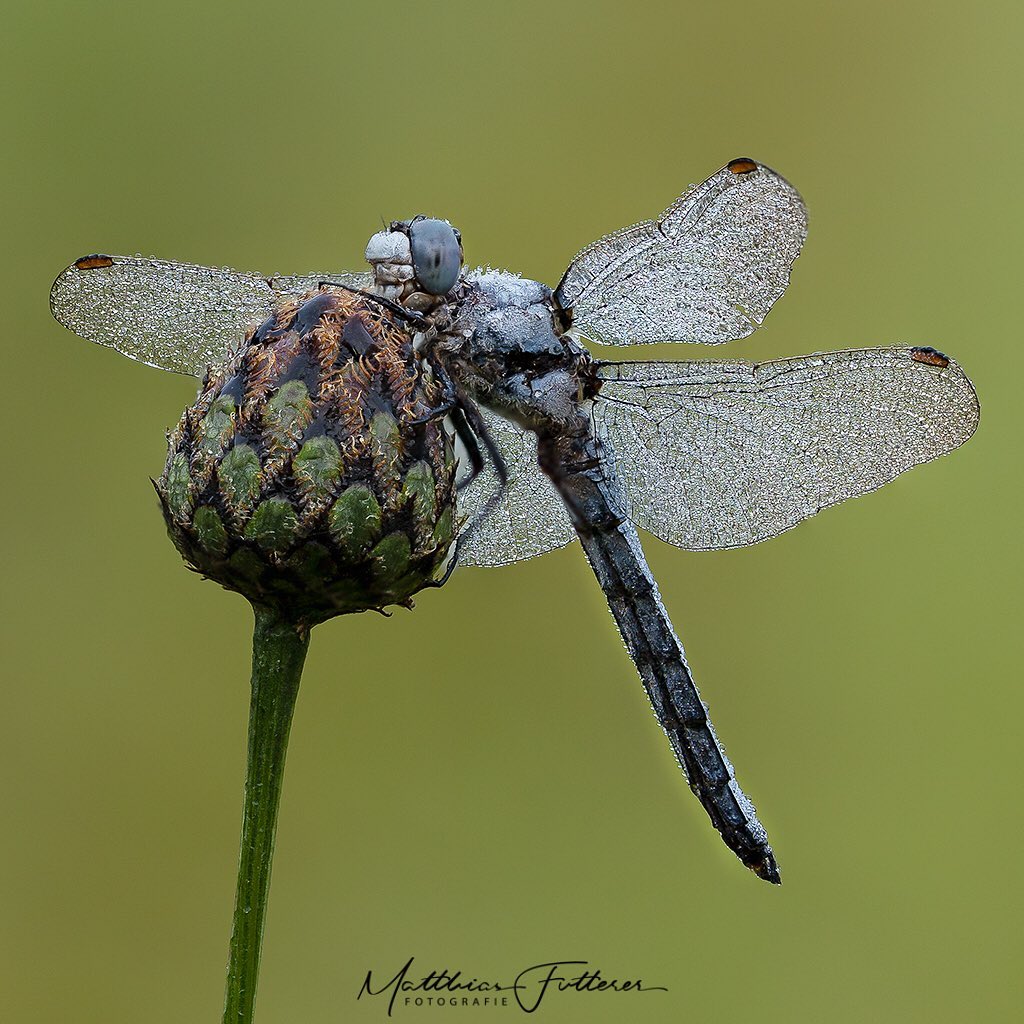 240805471_494949905276057_2981696571032333899_n