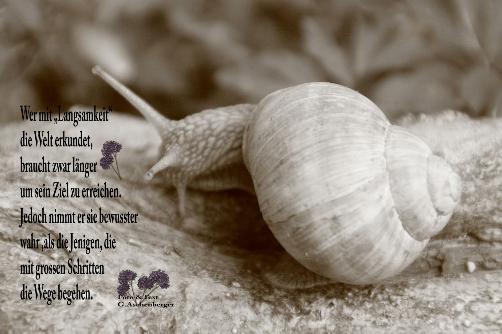 240829761_336340948276655_8567602562152694000_n