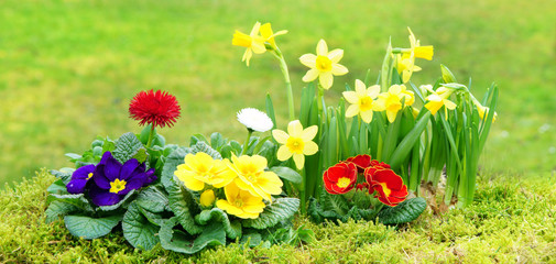 240_F_103909821_cmmNyLXW5UULgMxl5SywTtmIGNI6LRcn