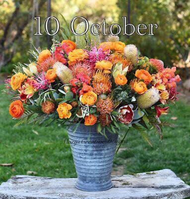 241045497_3022612354643228_2389004736334208486_n (2)