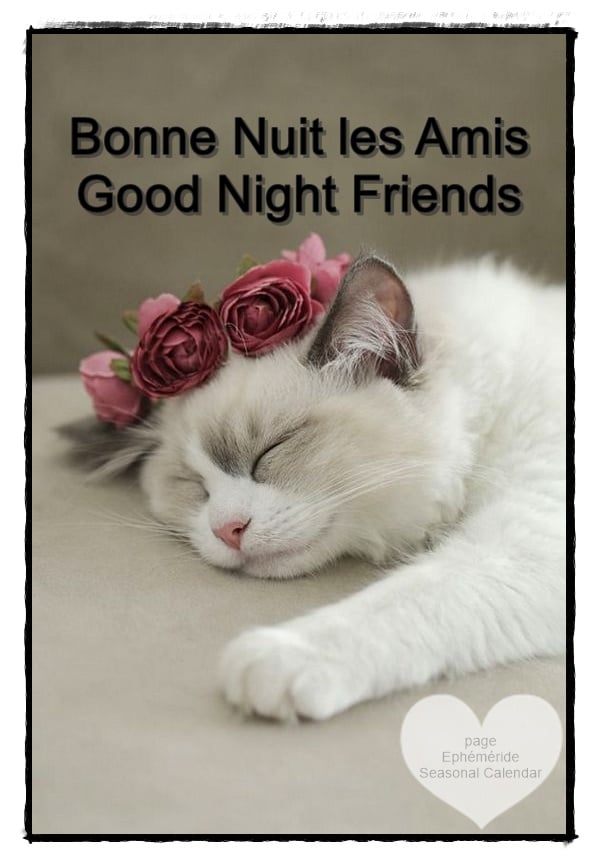 241057182_4552213111495416_3884746837488978190_n