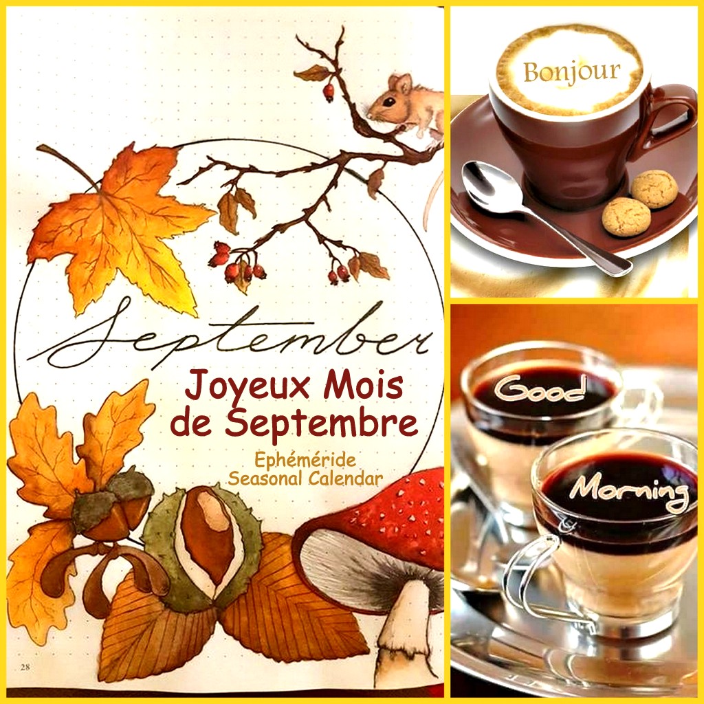 241103033_4552693118114082_8329800584358352540_n