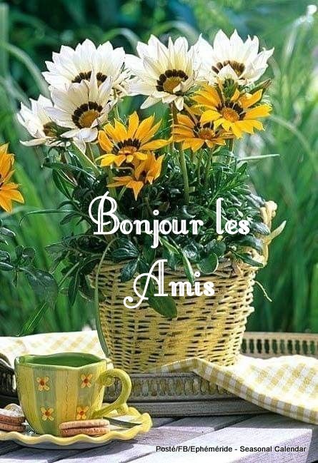 241136489_4555967381119989_2046392737321337617_n