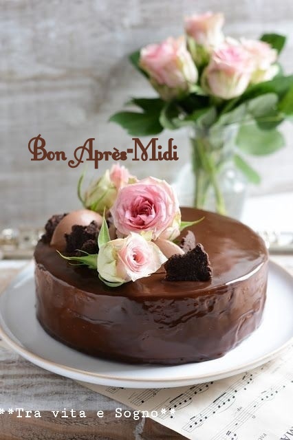 241152157_4557318837651510_1207073667213205822_n