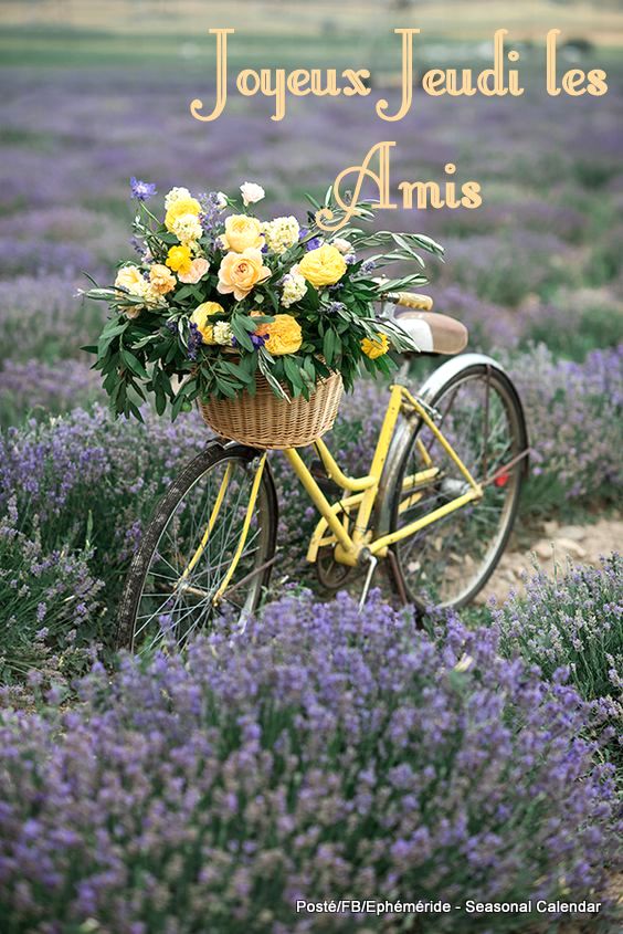 241153032_4555881061128621_9180925375122175720_n