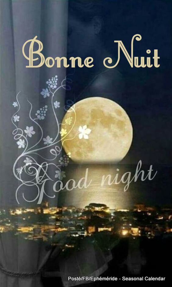 241172657_4567945343255526_3243666582682025055_n