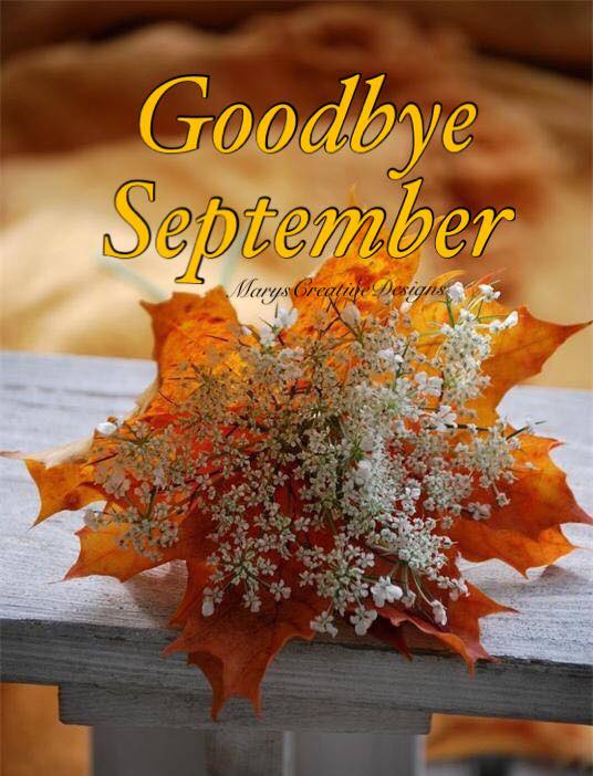 241180563_3014545615449902_3704355095443567810_n