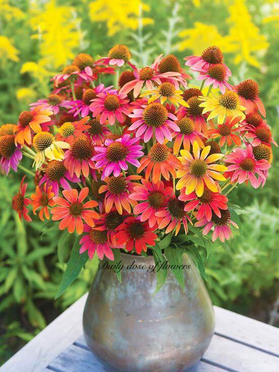 241182310_3117489475137316_2811760072844421673_n (1)