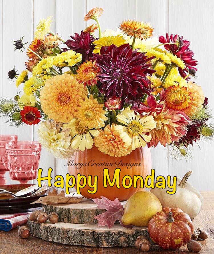 241182515_3012607845643679_1099761187524731288_n