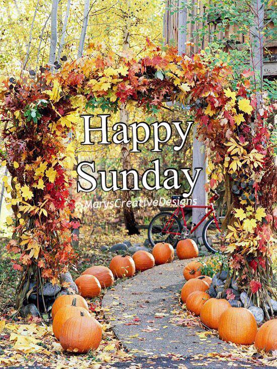 241191516_3028495874054876_162845460190208340_n