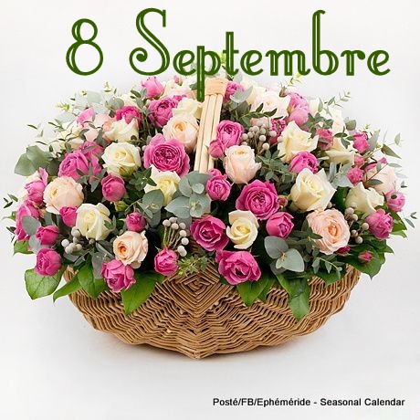 241191686_4574726219244105_2246773549356515770_n