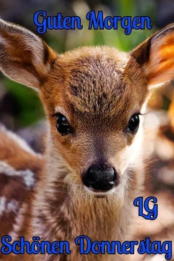 241194014_1299463737174596_139796482724842792_n (1)