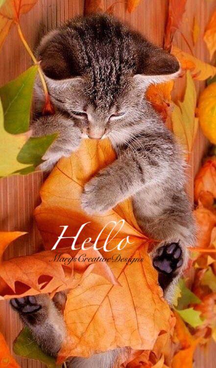 241196583_3027083174196146_5924784927070072218_n (2)