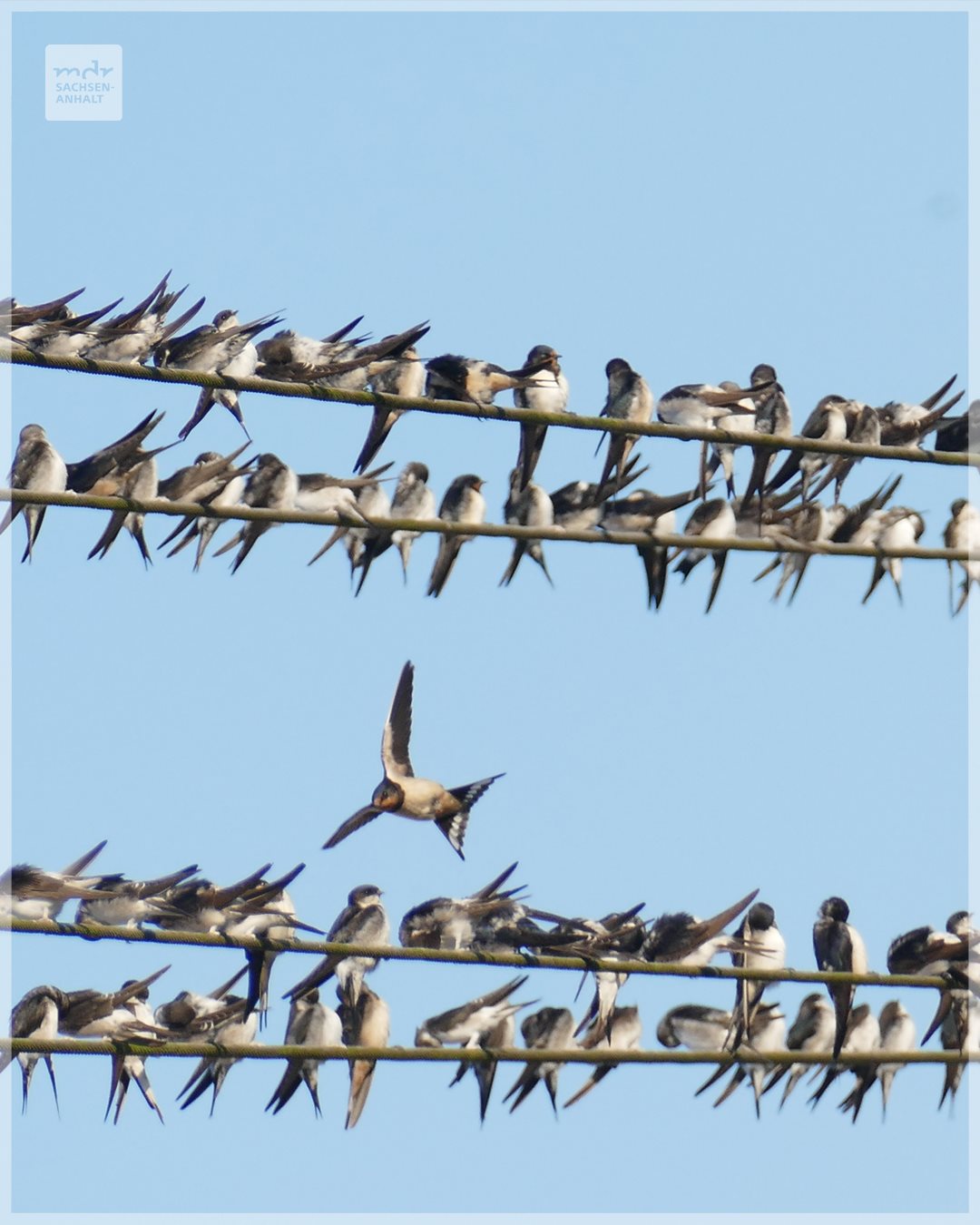 241216671_4249963031719680_1001728783461947472_n