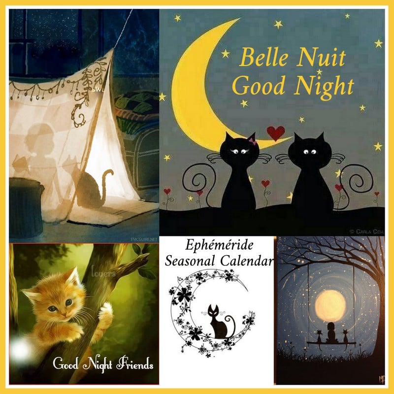 241223144_4562045767178817_6032264642176536601_n