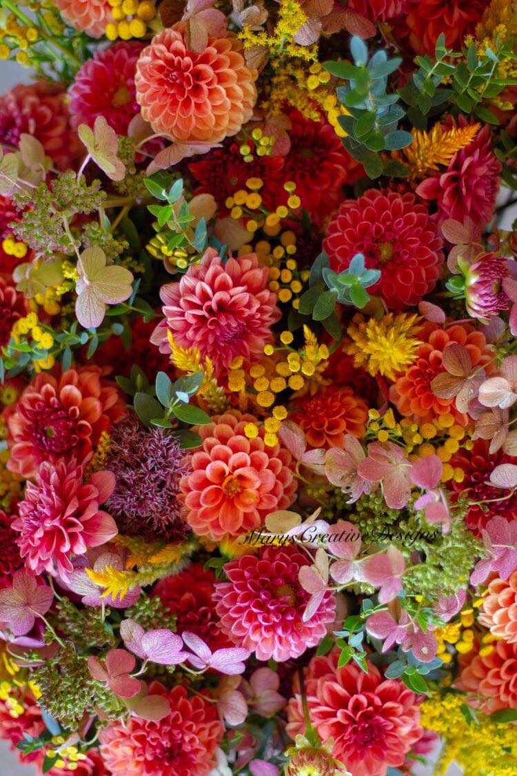 241232202_3005725746331889_4110242456068539433_n (1)