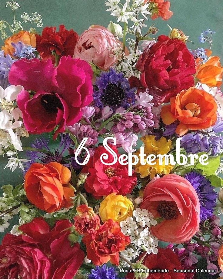 241240871_4568473679869359_7823730551472041552_n