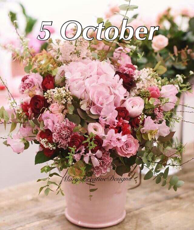 241270345_3018386431732487_439890953192497124_n (2)