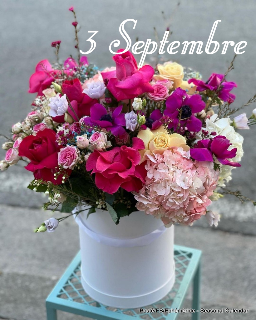 241291672_4559194417463952_5240316949673346759_n