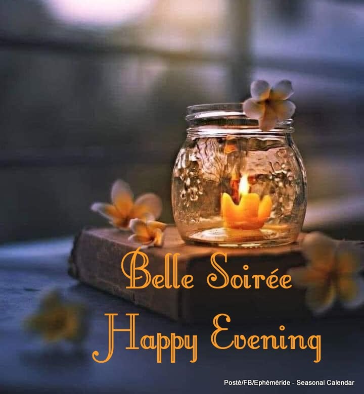 241291686_4561647440551983_8664270694342346072_n