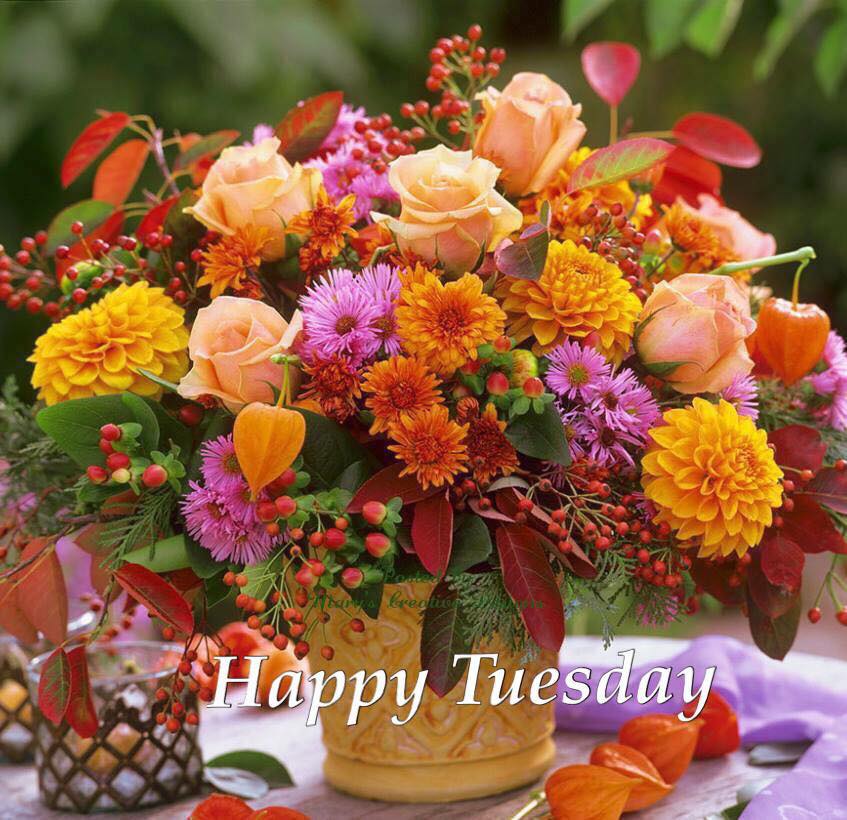 241299683_3018528821718248_6417123741491622388_n.jpg Dienstag