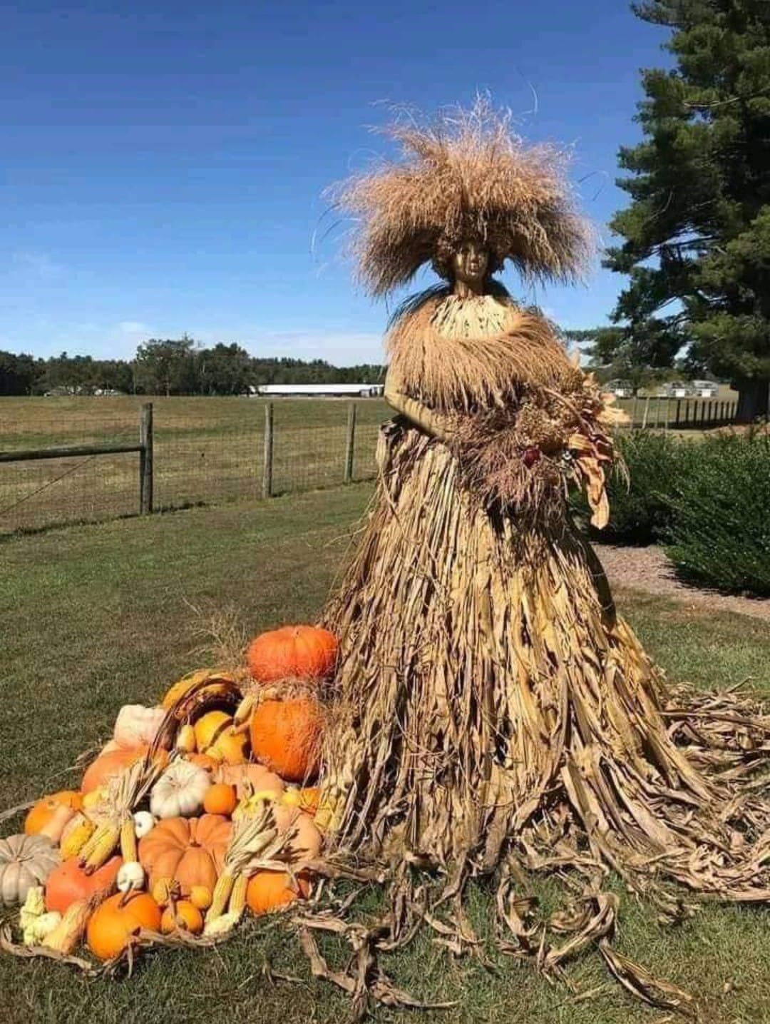 241307043_129113946114633_7026885278736248368_n (1)