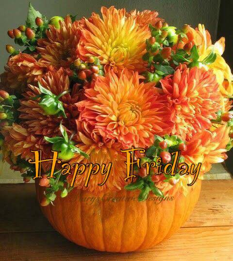 241317571_3010255565878907_3675247175450696454_n (2)