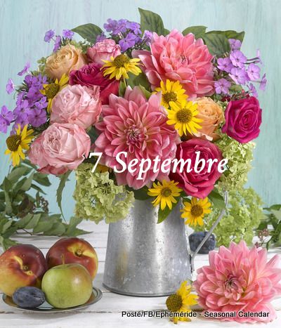 241340823_4571600069556720_8561110227930511511_n