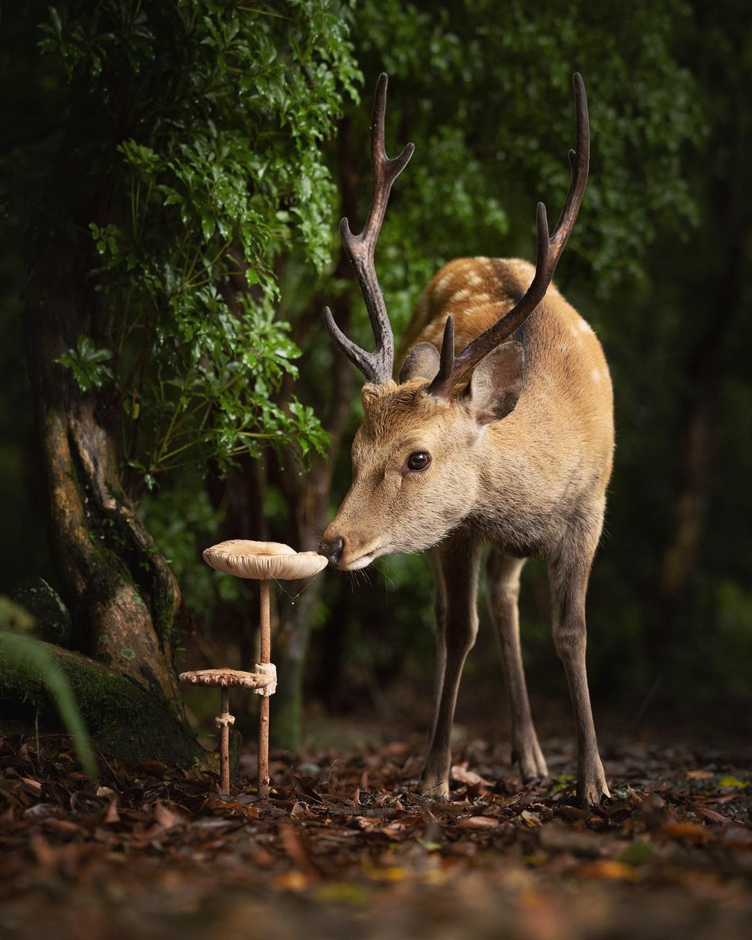 241380031_373116387721275_7985477457697857309_n