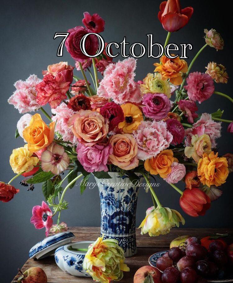 241383748_3020147204889743_8475530998154730467_n (1)