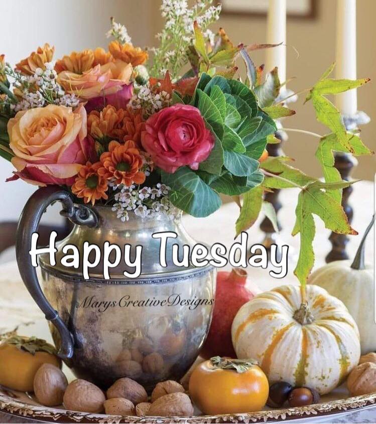 241392493_3024306904473773_1278763720172855431_n (1)