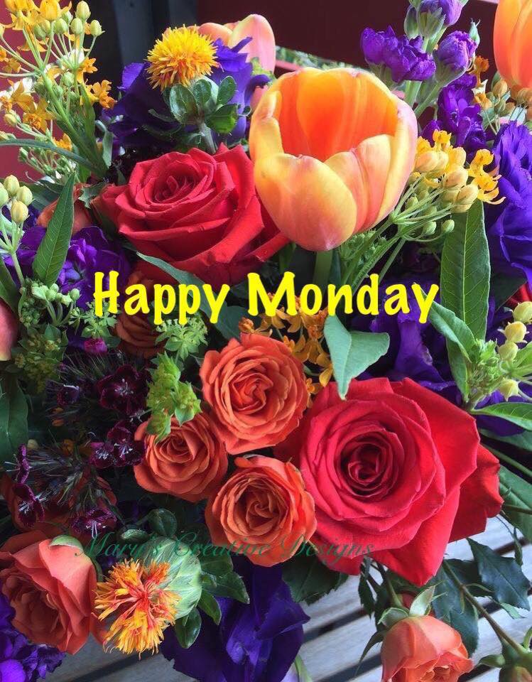 241434900_3001716050066192_2572559230317311789_n (1)