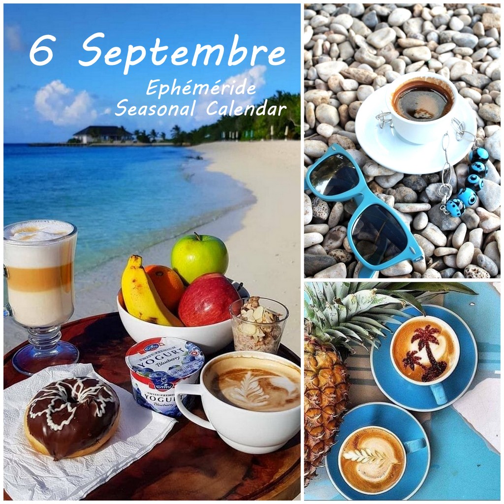 241466492_4568525986530795_5214659445571368292_n