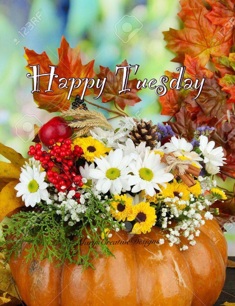 241491017_3035599930011137_5937680825005973901_n (2)