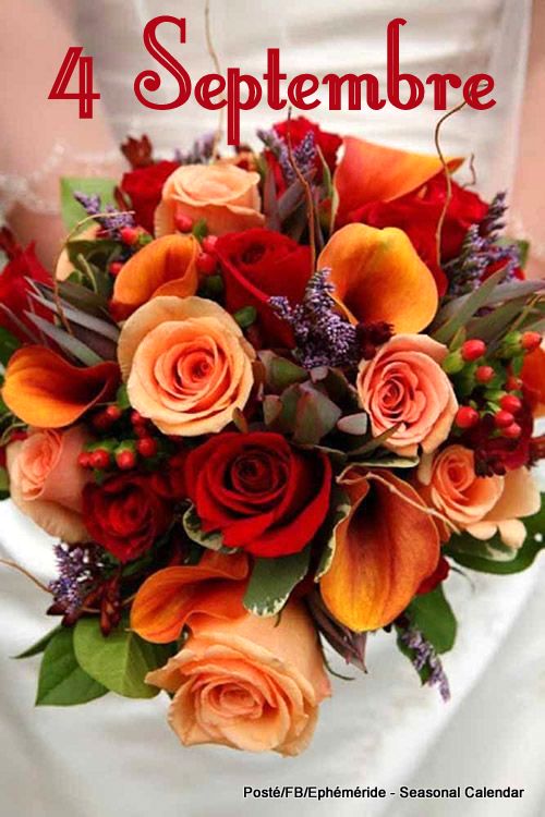 241495563_4562490027134391_7573455092820168507_n