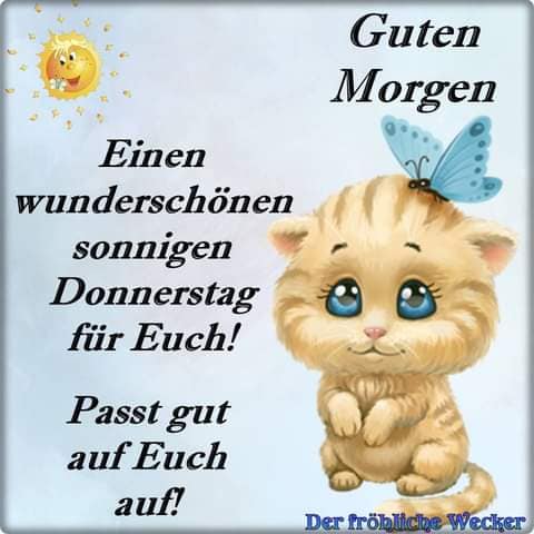 241624297_1015779229224731_4953929661802825904_n