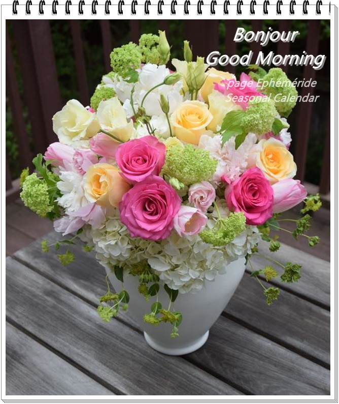 241630205_4577704025612991_8677460733196658883_n