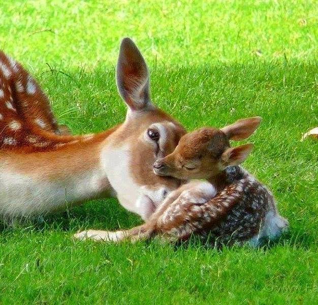 241639979_215697720467872_2116235419311949037_n