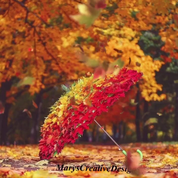 241672141_243898377662182_967482895518116223_n (1)