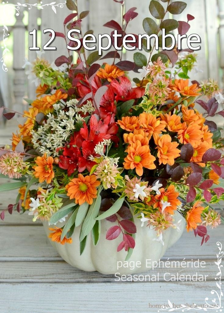 241723322_4587443154639078_9037153981197618117_n